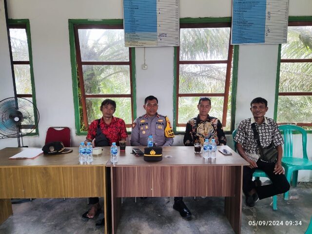 IMG-20241104-WA0053