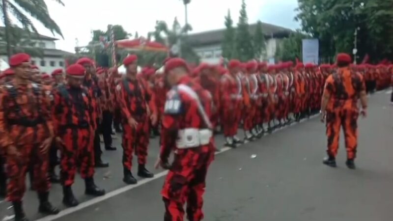 IMG-20241111-WA0028