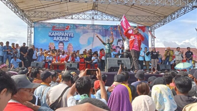 IMG-20241120-WA0013