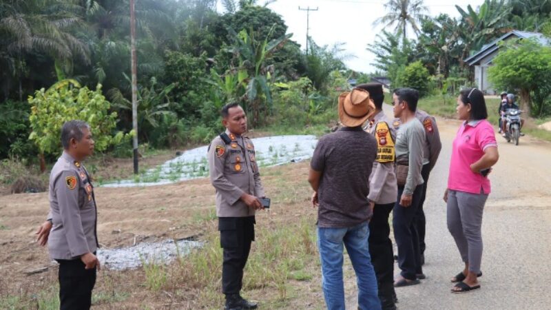 IMG-20250104-WA0050