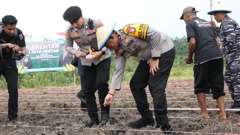 IMG-20250122-WA0140