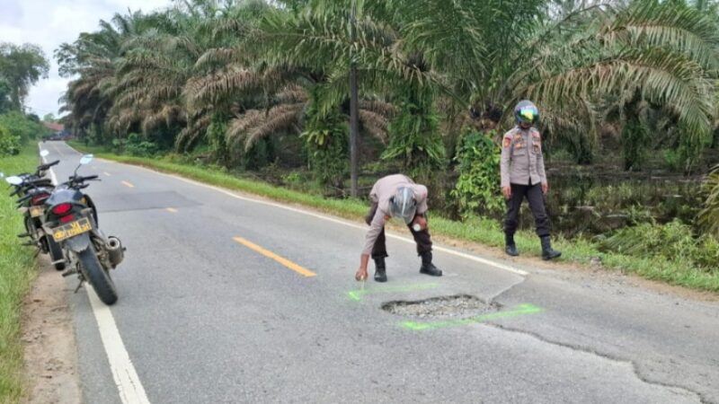 IMG-20250325-WA0048(1)