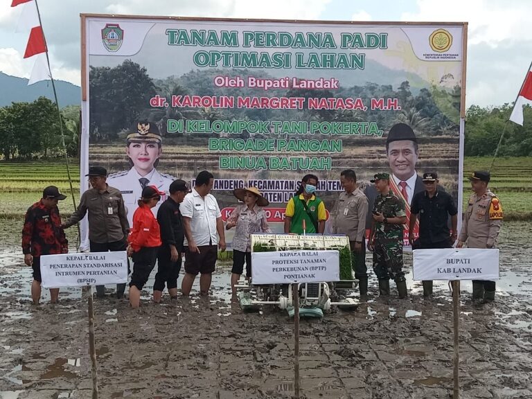 IMG-20250410-WA0005(1)