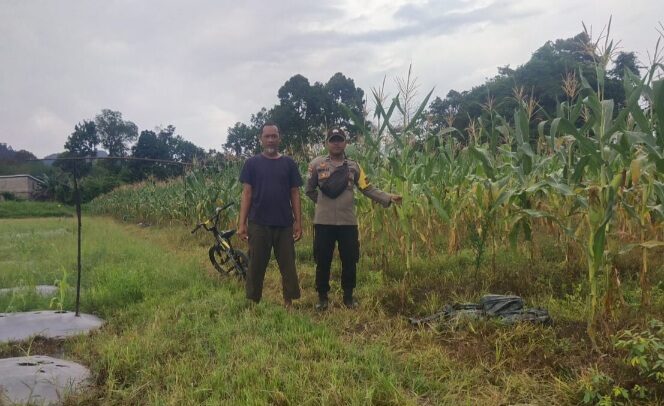 IMG-20250430-WA0017(1)