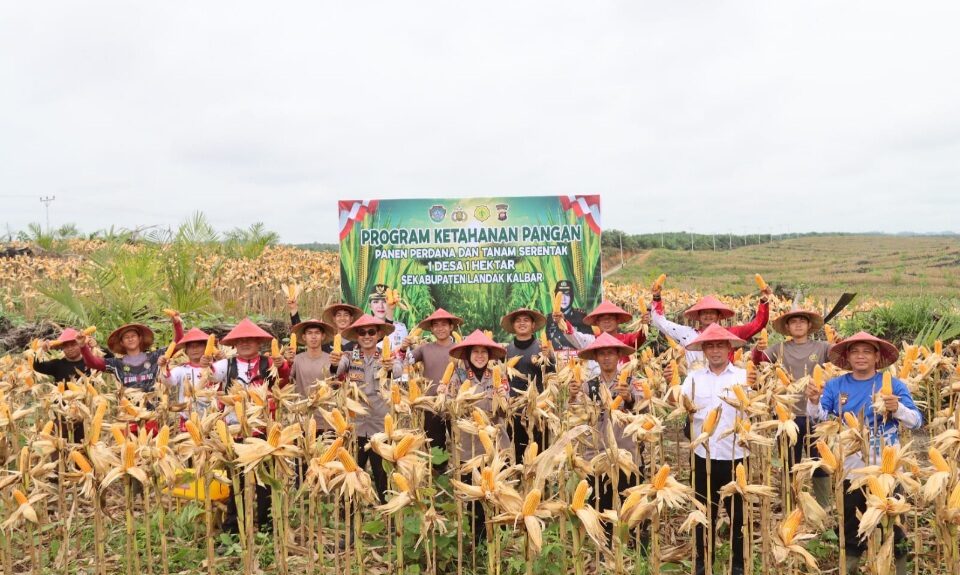 IMG-20250821-WA0002(1)