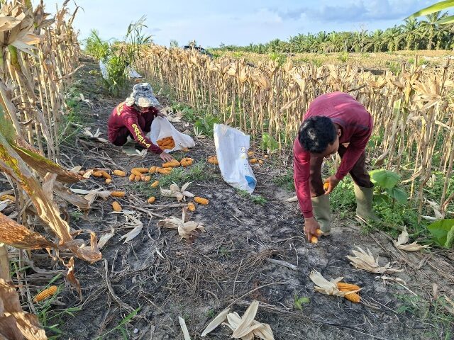 IMG-20250823-WA0008(1)