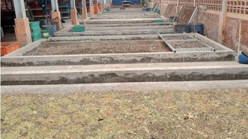 IMG-20260415-WA0025(1)