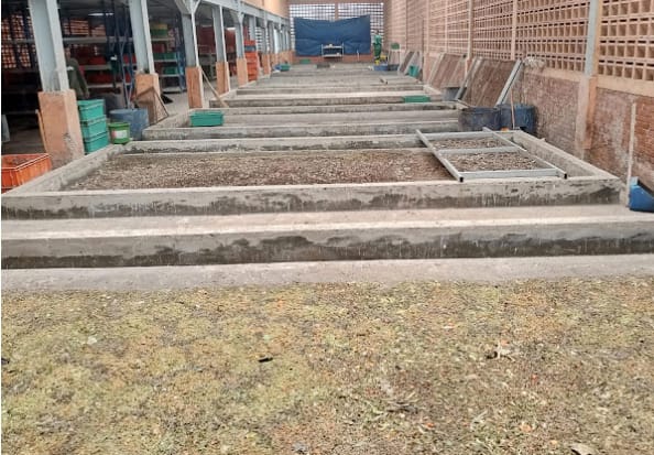 IMG-20260415-WA0025(1)