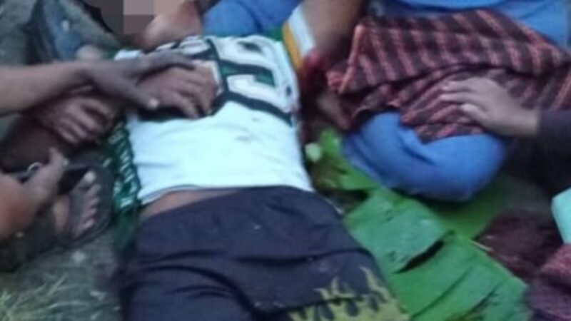 WhatsApp Image 2026-05-16 at 14.55.10